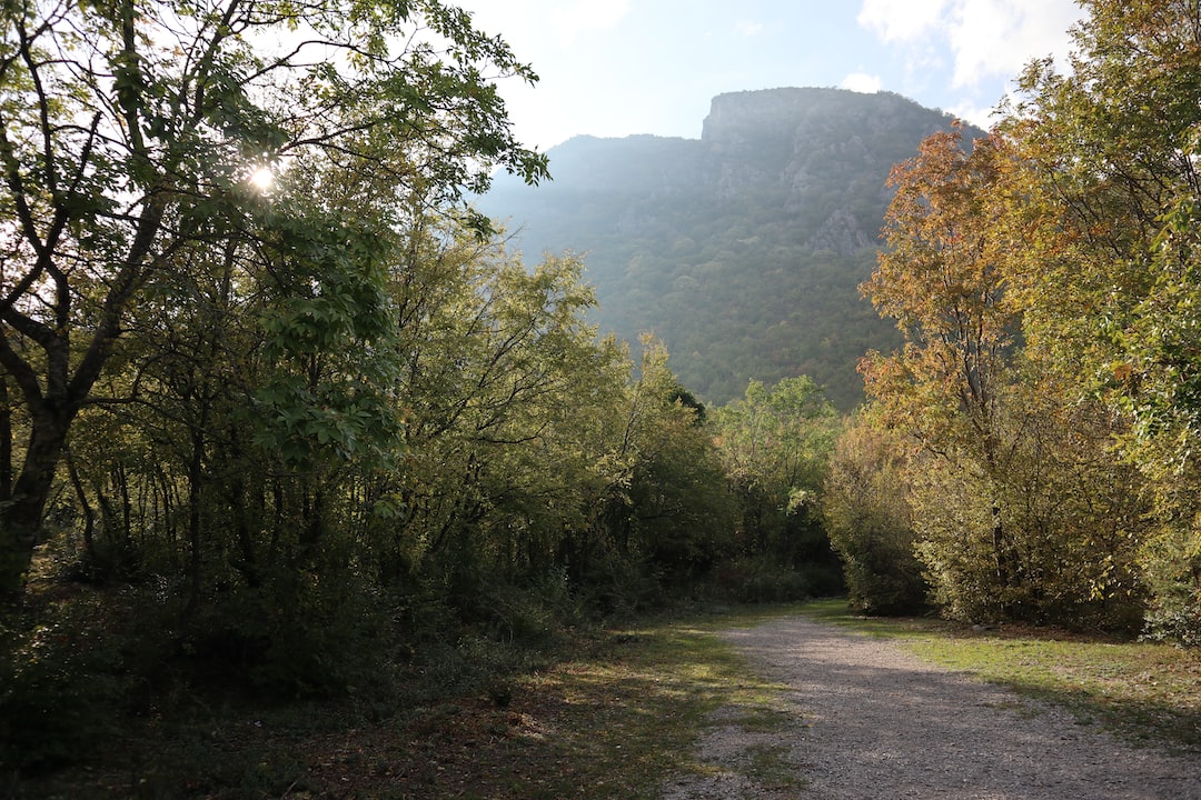 Risparmia carburante alla guida con questi metodi in evidenza | Featured