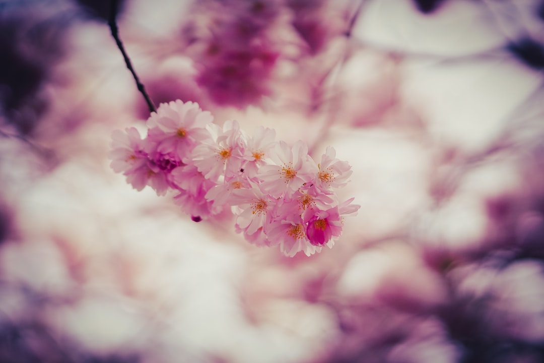 Guida alla scelta della tua auto o moto ideale: consigli e opzioni di Featured