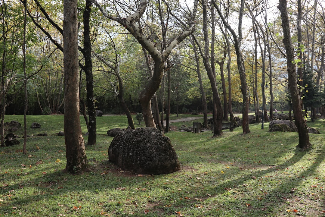 Featured: Scopri i migliori modelli di auto e moto per il tuo tempo libero