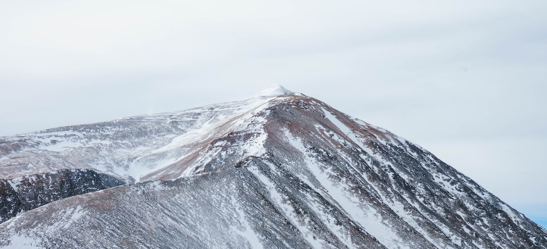 Il meglio della tecnologia elettrica: i veicoli Featured del 2021