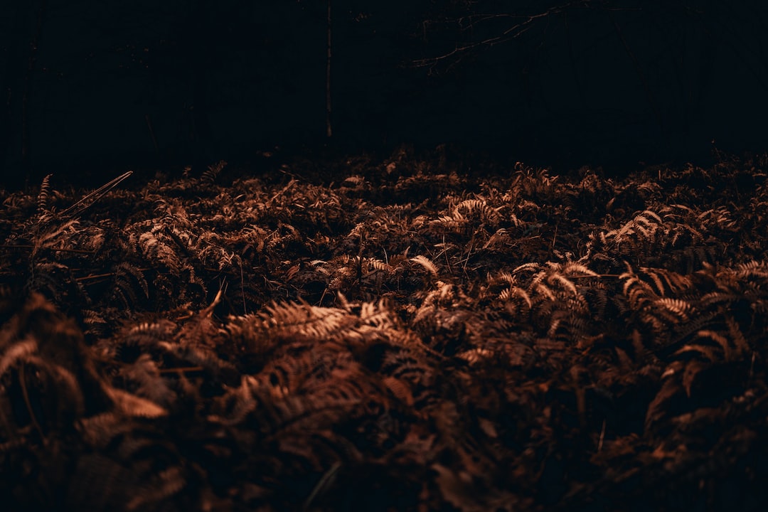 Le 10 offerte del mese Featured – Scopri le migliori offerte del momento!