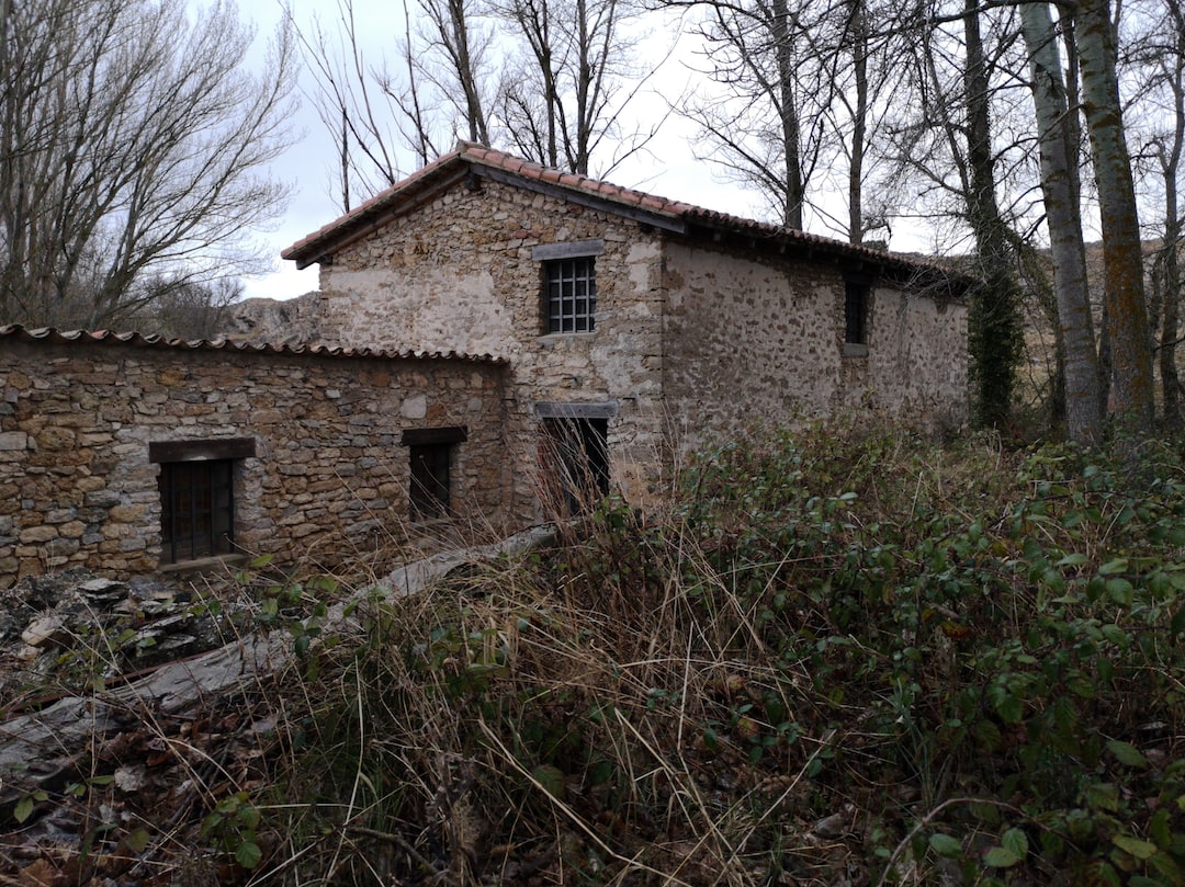 Come evitare multe per eccesso di velocità e mancata revisione: Consigli utili