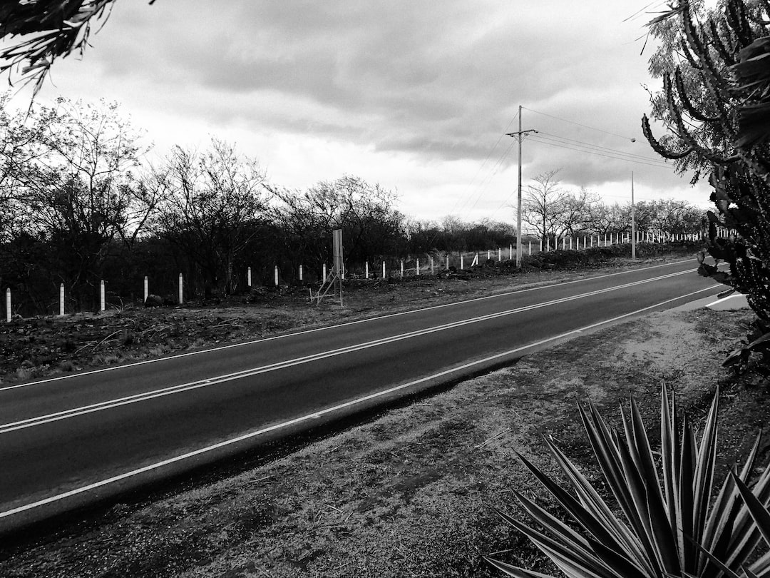 Articolo senza titolo 1694