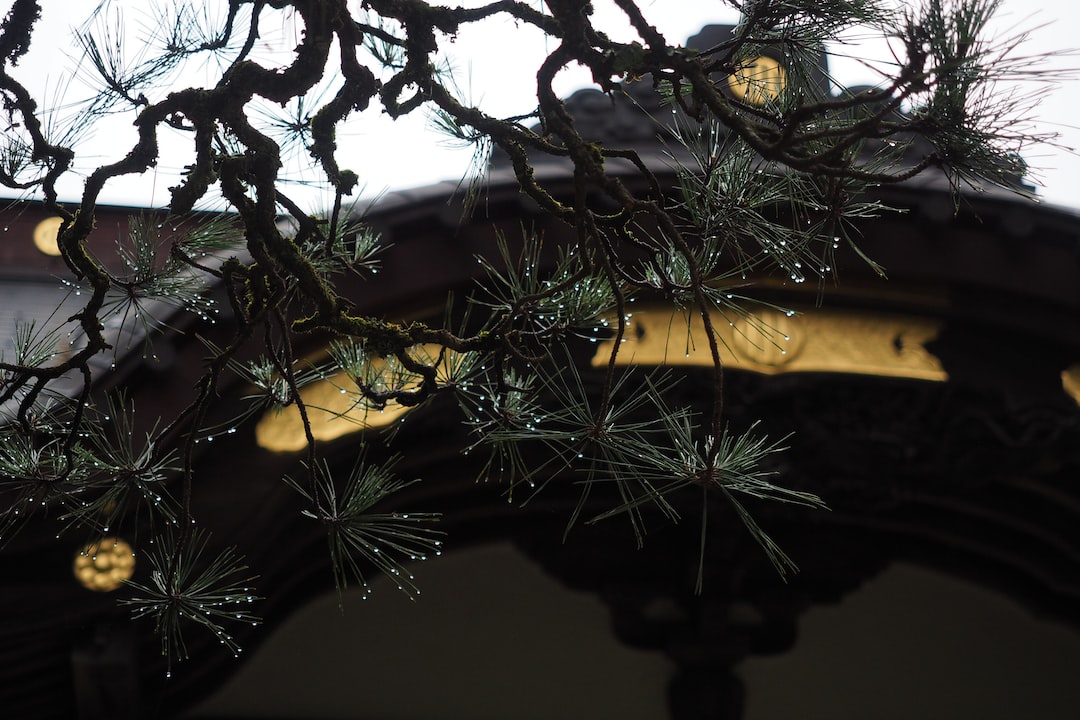 Affitta una moto in modo intelligente con la guida al noleggio moto: risparmia mentre ti diverti