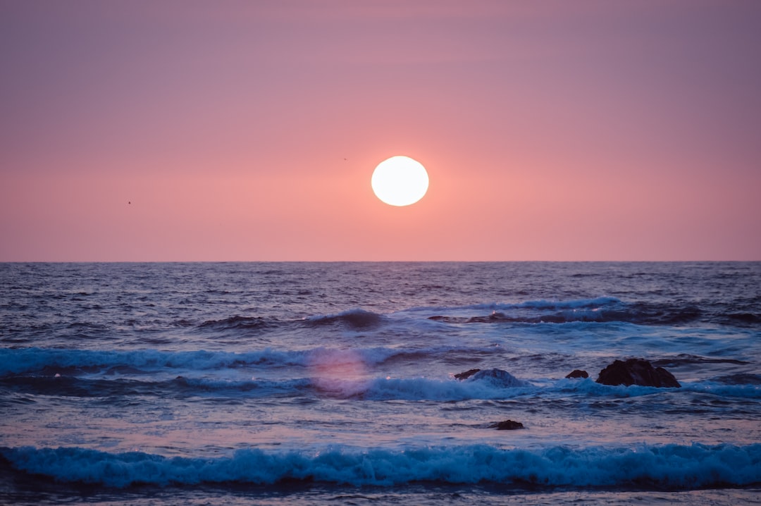 Le migliori moto da motocross off-road: scopri le caratteristiche uniche per gli amanti dell’off-road