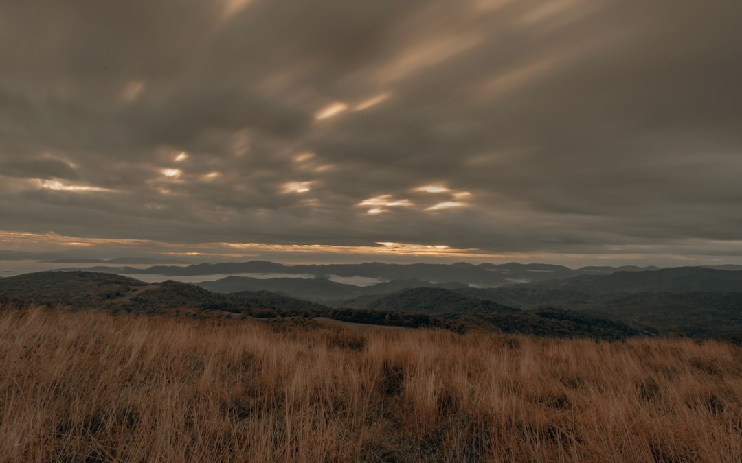 Le auto e le moto più economiche da mantenere: scopri i modelli ideali per risparmiare