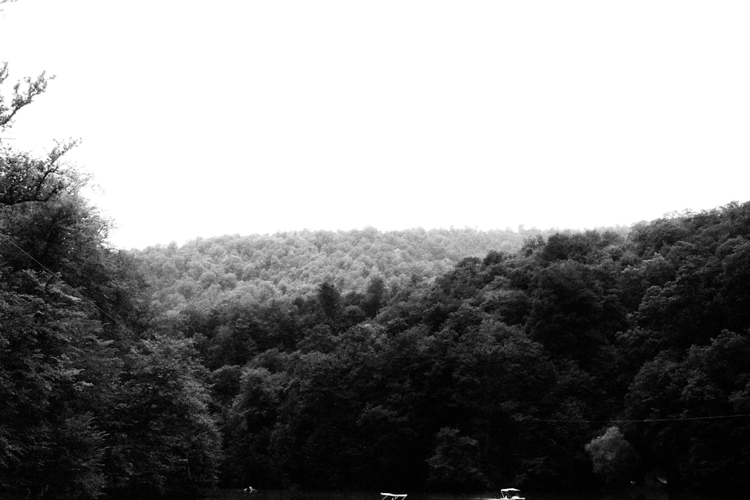 I consigli degli esperti per la scelta dell’auto o moto perfetta